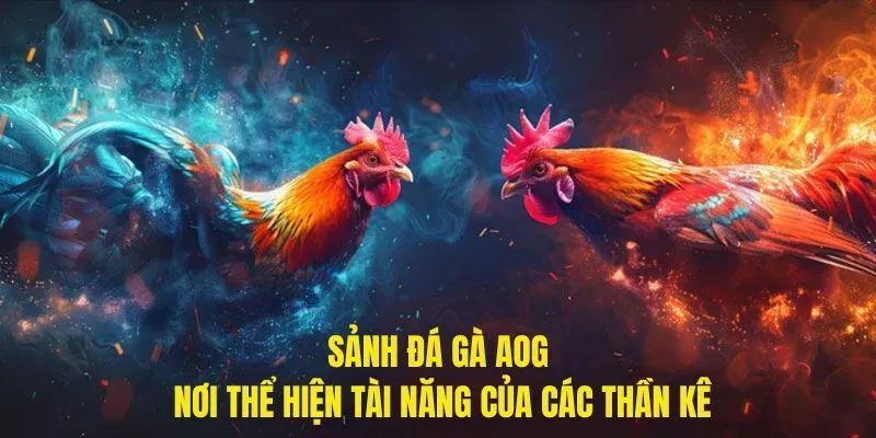 Đá gà online sảnh AOG uy tín